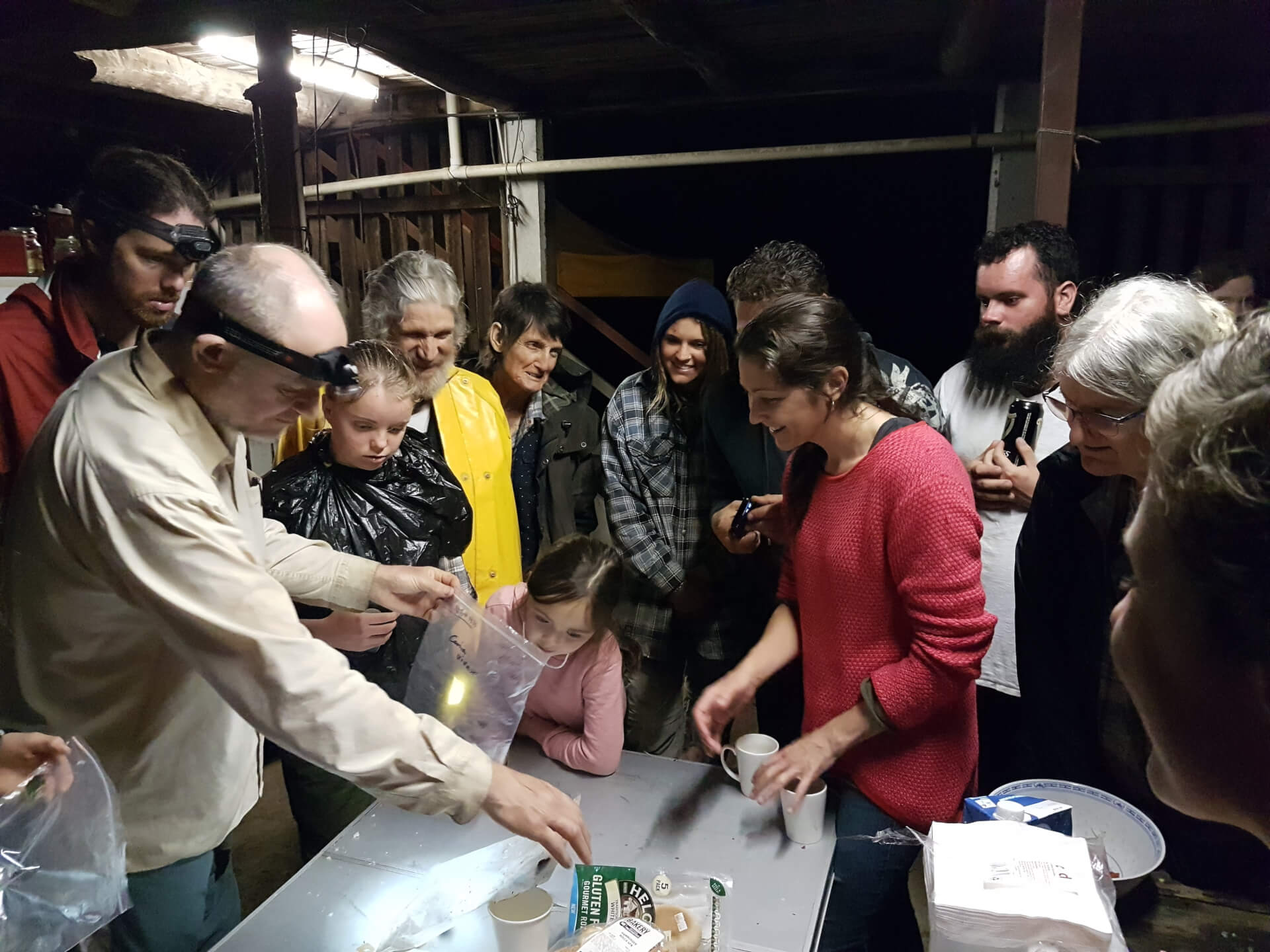Aroona Reptile Survey