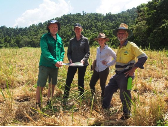 Joining forces to build cassowary connections