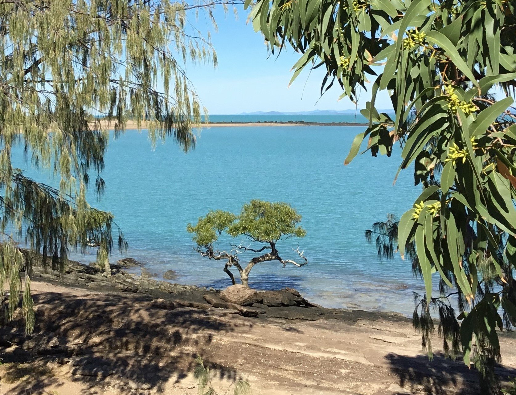 Eco-volunteering on the Great Barrier Reef: Avoid Island