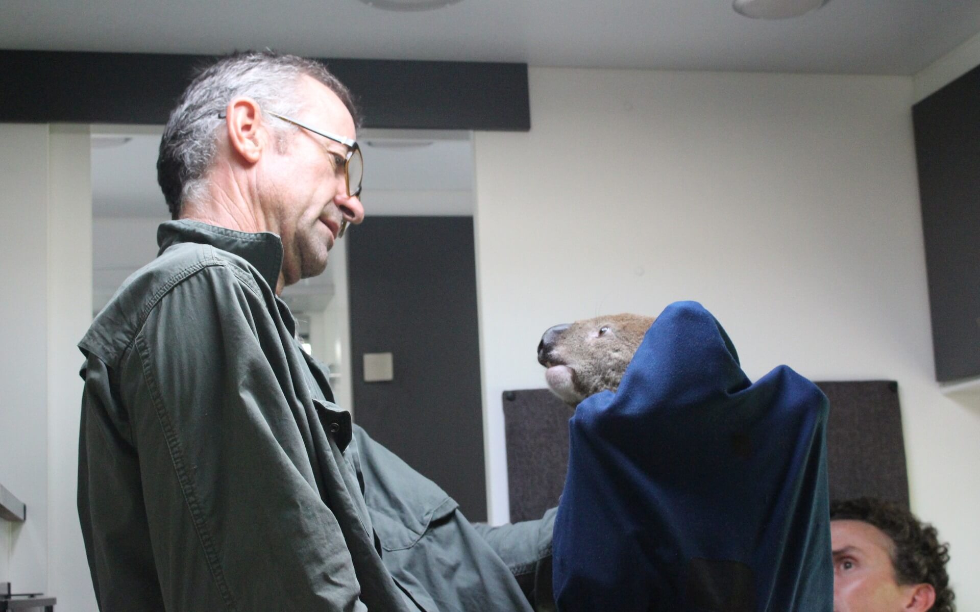 Tinana Koala research project