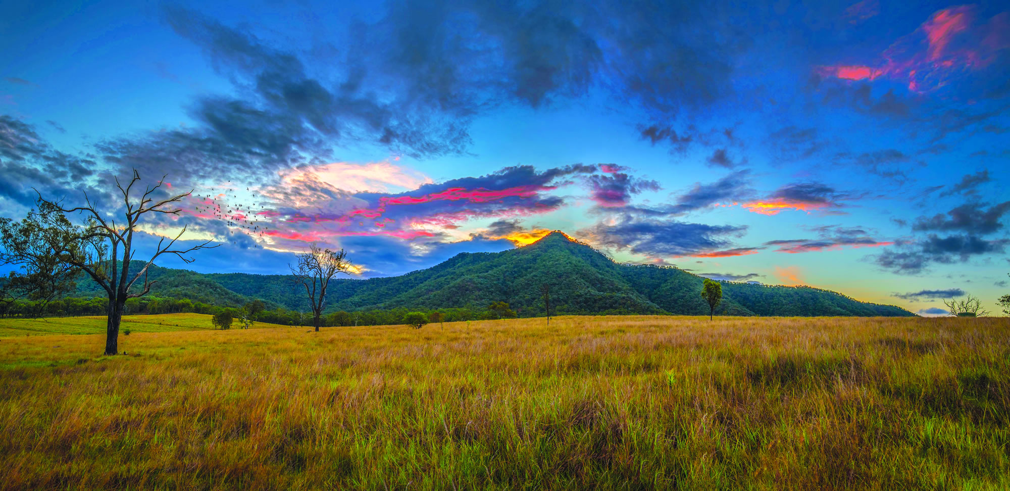 Accounting for Nature