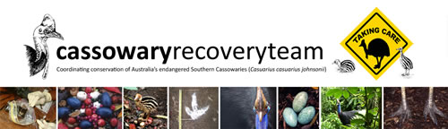Cassowary Recovery Team
