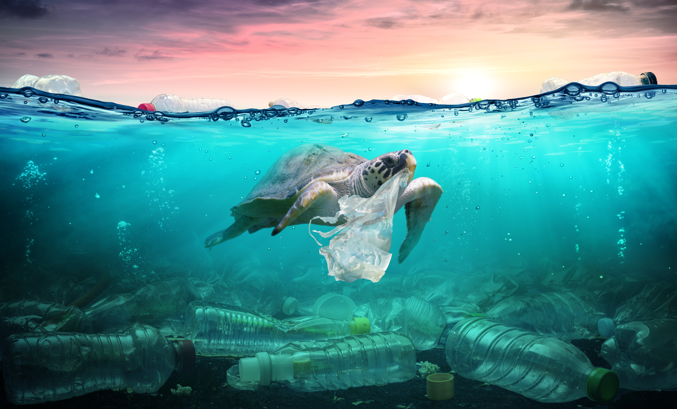 Plastic Free July! Will you join us?