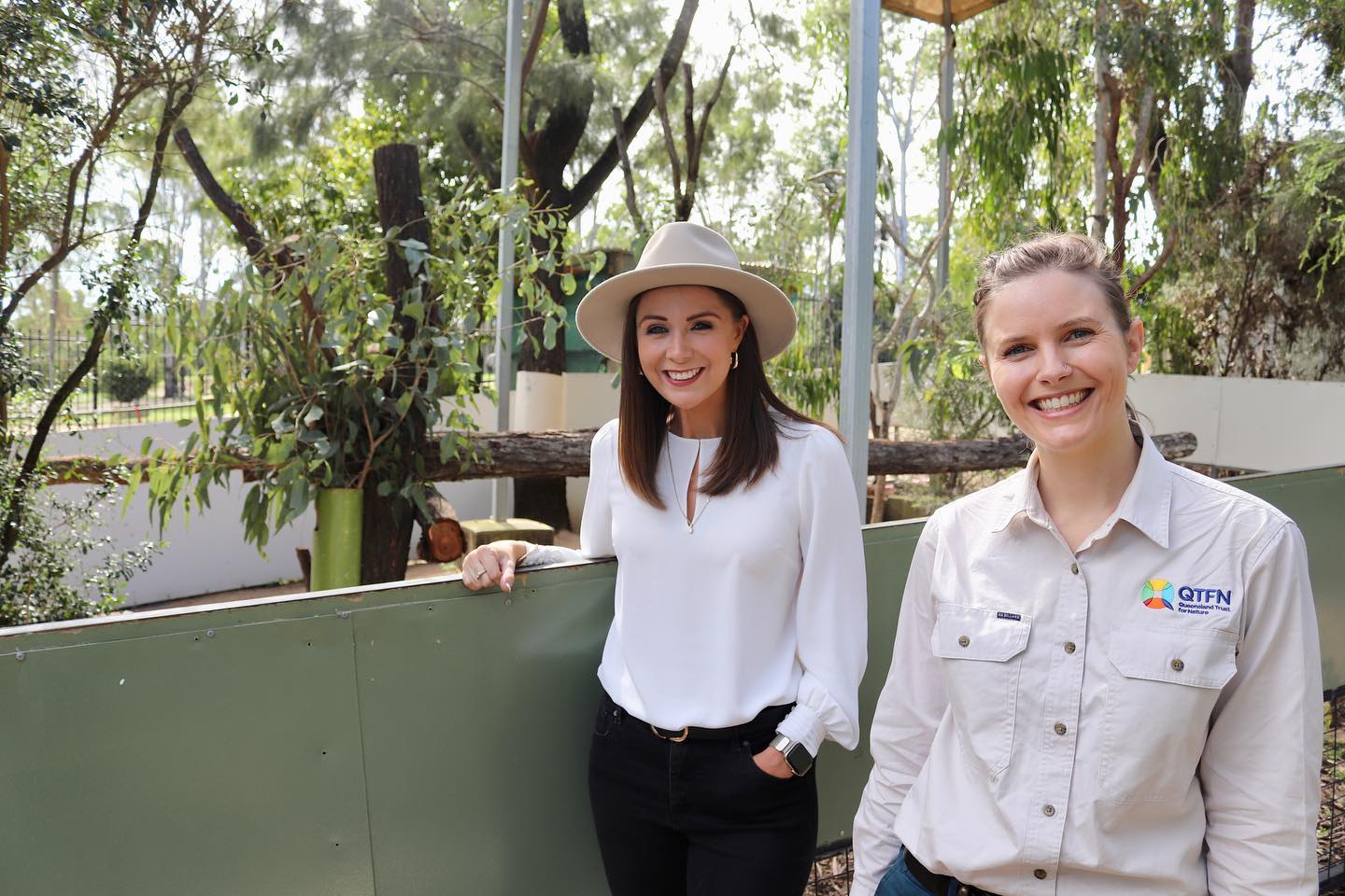 $8.6m to revegetate, protect Brigalow Belt for koalas