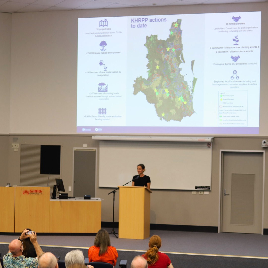 Presenting koala habitat restoration work at Logan Koala Forum